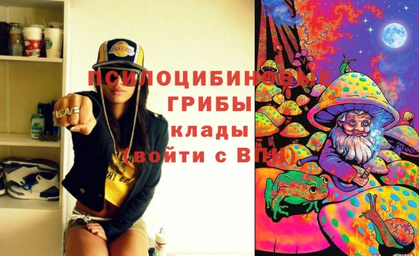соль ск Ельня