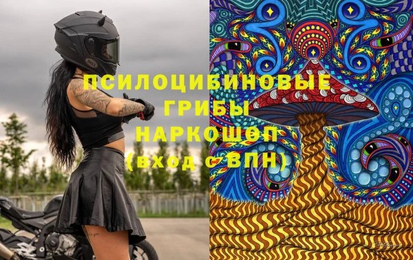 a pvp Аркадак