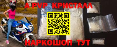 ешки Гай