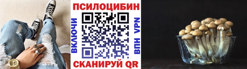 Псилоцибиновые грибы Cubensis  hydra как войти  Новоалтайск 