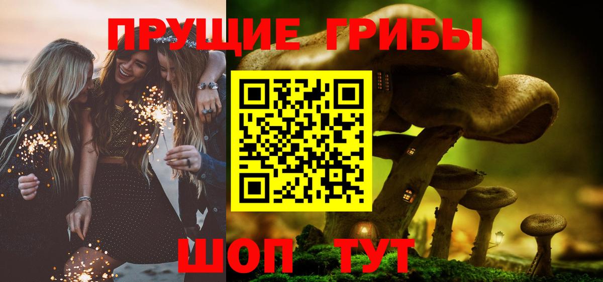 Галлюциногенные грибы GOLDEN TEACHER Новоалтайск